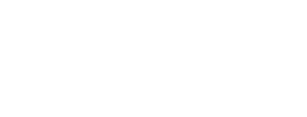 DisputeIQ-Logo-white